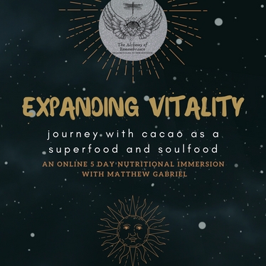 Expanding Vitality: 5 Day ixCacao Journey